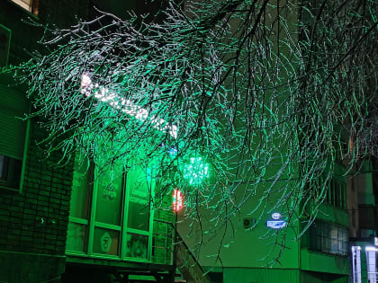 Ростовчан просят беречь головы и быть осторожными на дорогах