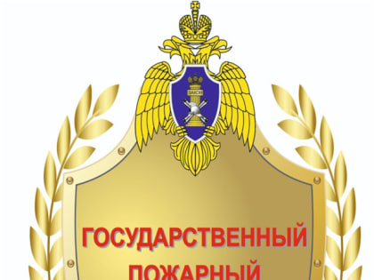 ФЕДЕРАЛЬНОМУ ГОСУДАРСТВЕННОМУ ПОЖАРНОМУ НАДЗОРУ МЧС РОССИИ ИСПОЛНИЛОСЬ 95 ЛЕТ