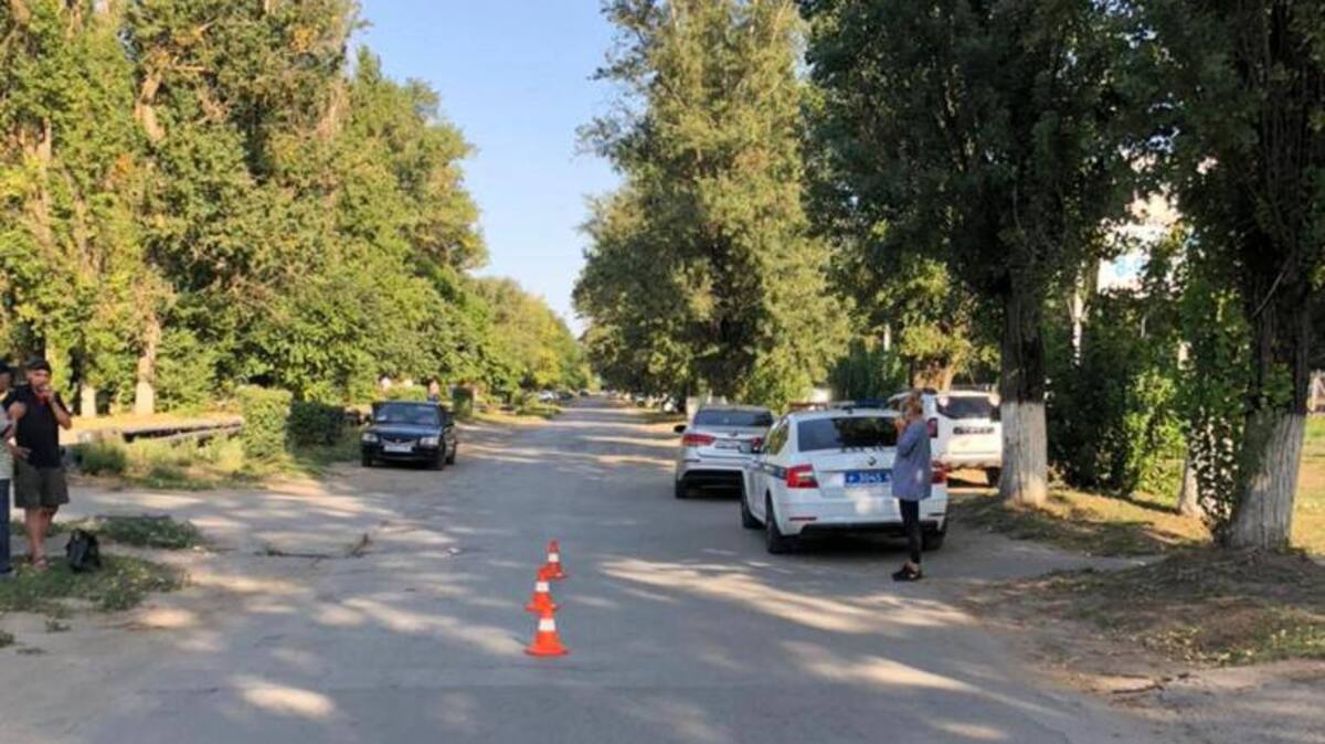 Поврежденный новочеркасск. Летняя дорога. Перебегает дорогу в неположенном месте.