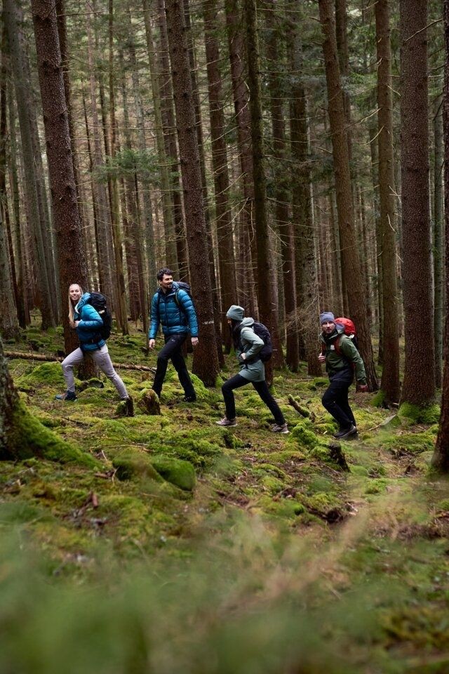 Nature as a Major Determinant for Good Mental Health
