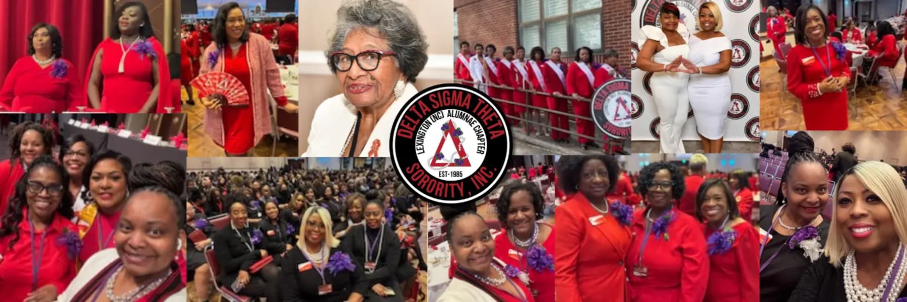 Lexington Alumnae Chapter of DST fundraiser photo 1