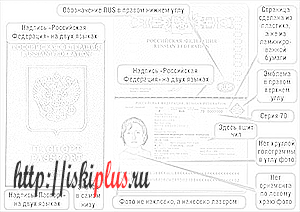 где указывается код подразделения на паспорте. . где указывается код подразделения на паспорте фото. где указывается код подразделения на паспорте-. картинка где указывается код подразделения на паспорте. картинка . В паспорте, который является основным документом для идентификации гражданина России, находится много полезной информации. Часть ее не вызывает удивления или вопросов, так как является личной. Однако, есть некоторые данные, которые незнакомы человеку. Именно они могут вызывать многочисленные вопросы. Среди такой информации – код подразделения.