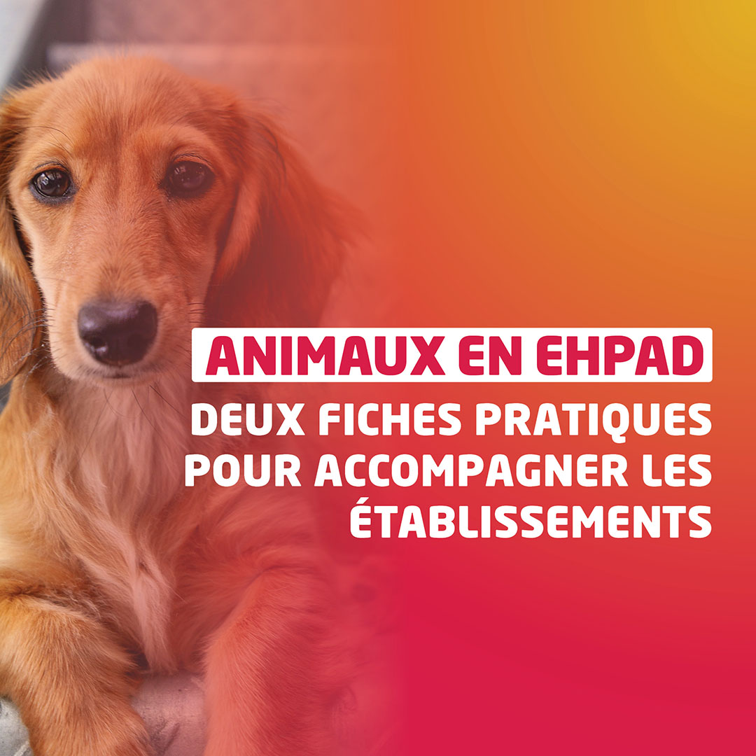 Animaux en Ehpad : deux fiches pratiques pour accompagner les établissements