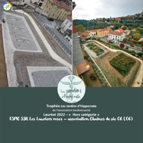 Traitement des eaux usées par les plantes / bassins naturels