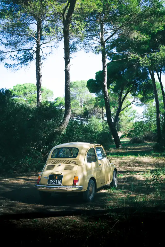 Fiat 500 oldtimer - Fahrzeugheck