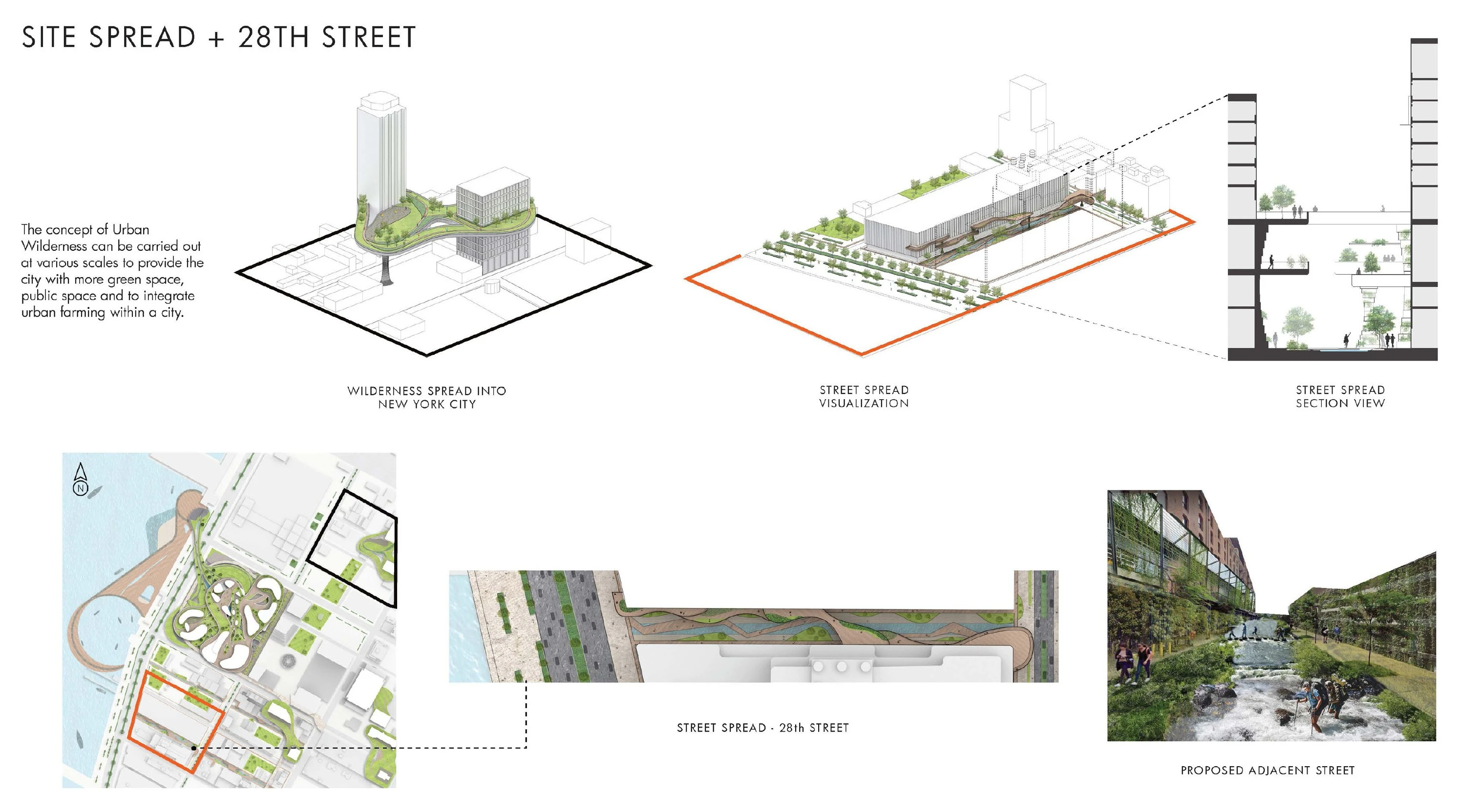 Transformation Beyond the Site Image