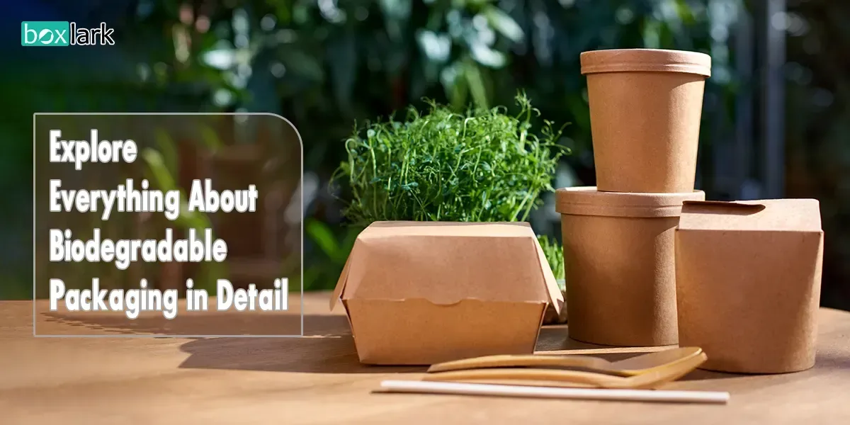 Learn Everything You Need to Know About Biodegradable Packaging