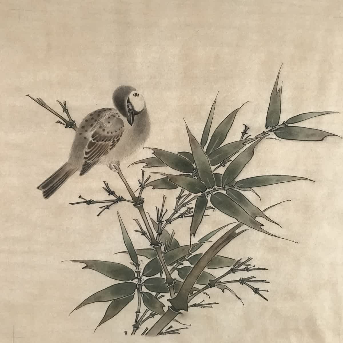 Sparrow and Bamboo