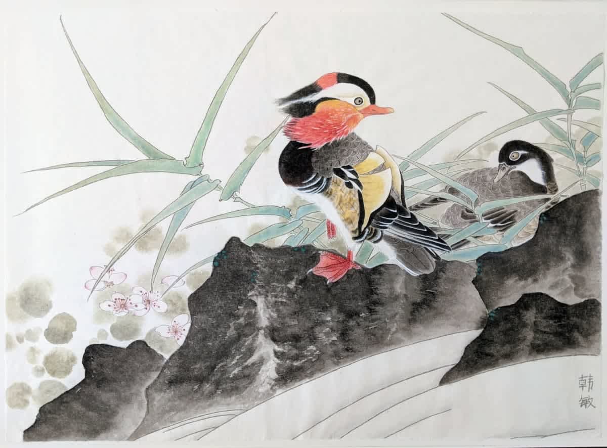 Oriental duck