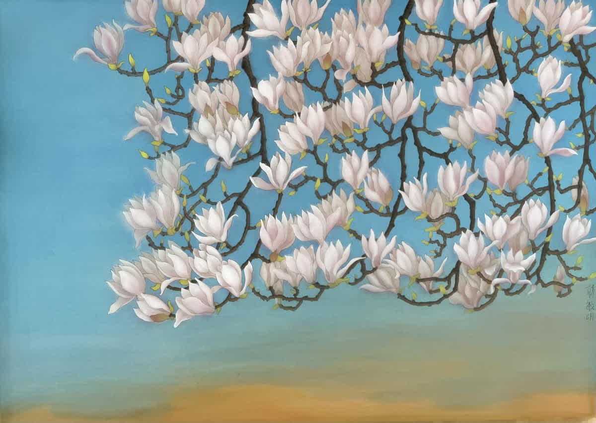 Spring with magnolia