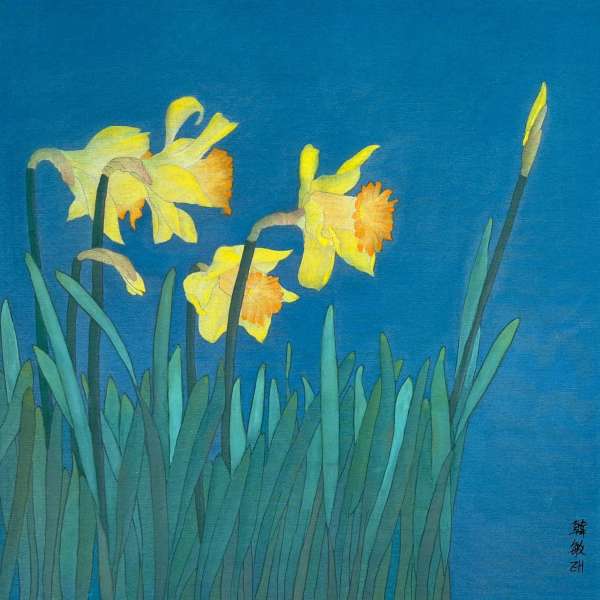 Daffodils in the Spring