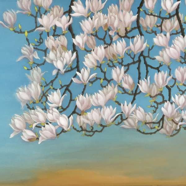 Spring with magnolia