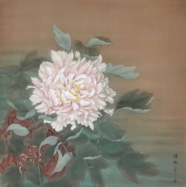 The mystery of the two peonies