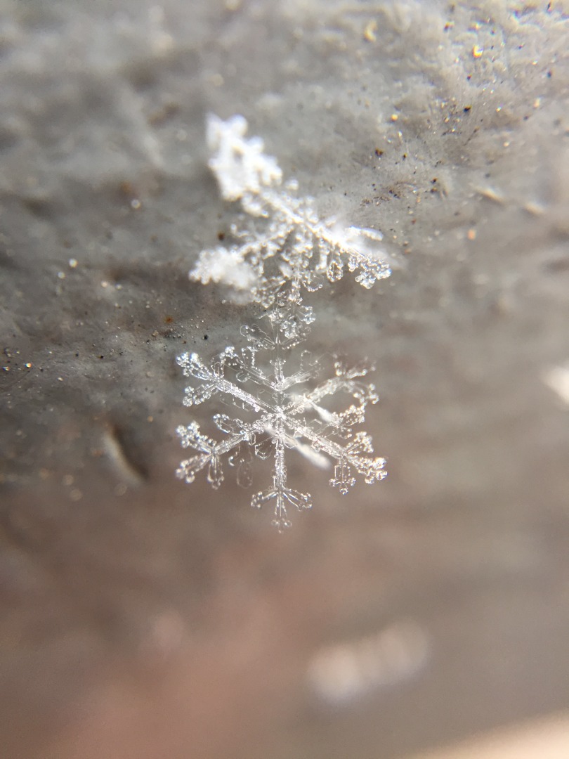 Snowflake 