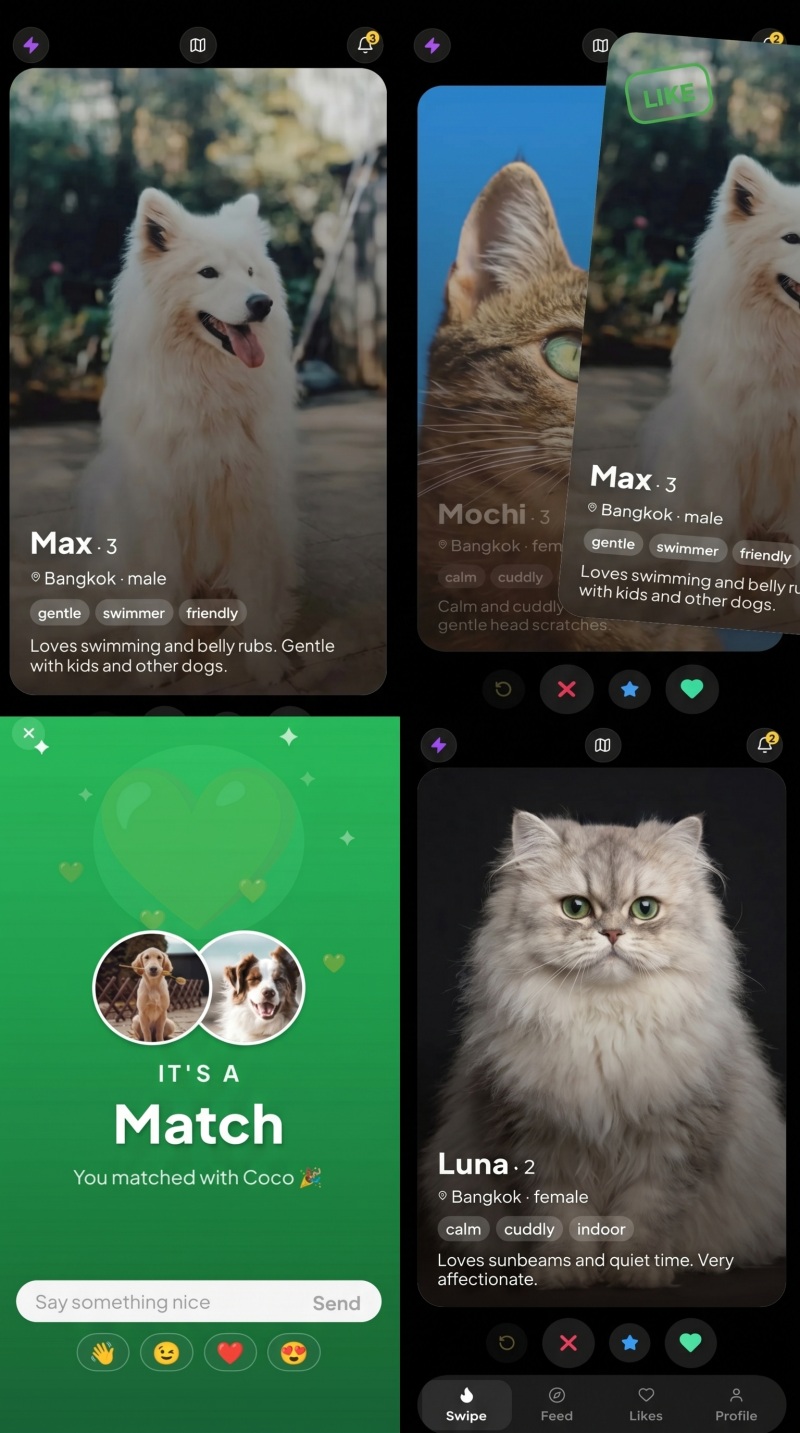 Pet Dating App — screenshot 2