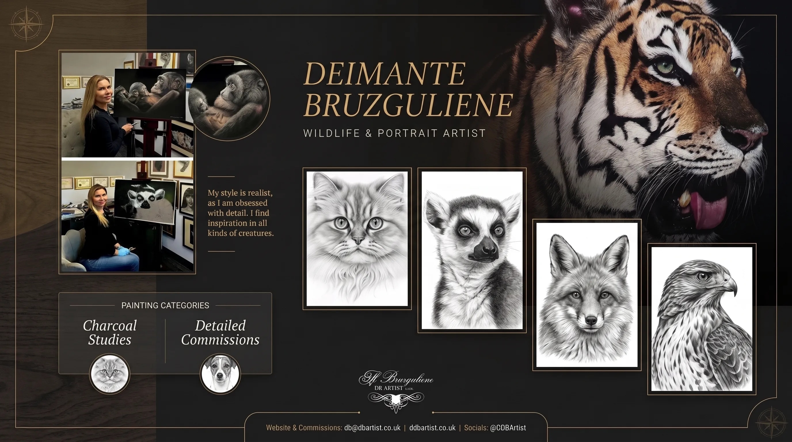 DB Artist Portfolio