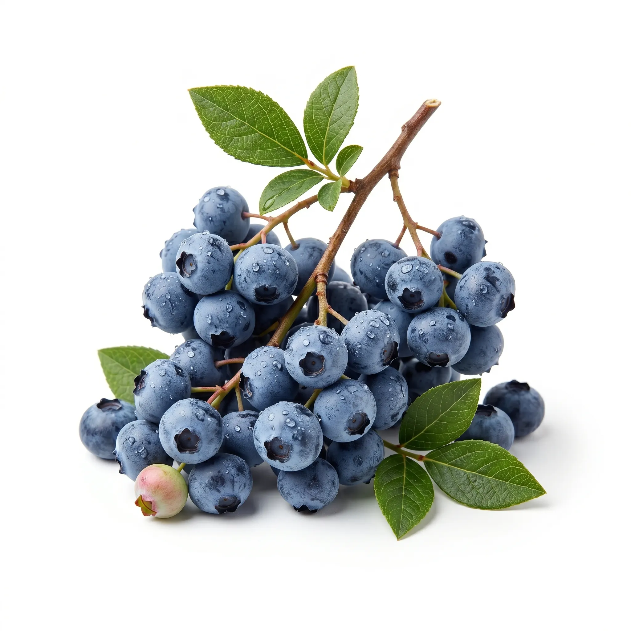 Blueberry