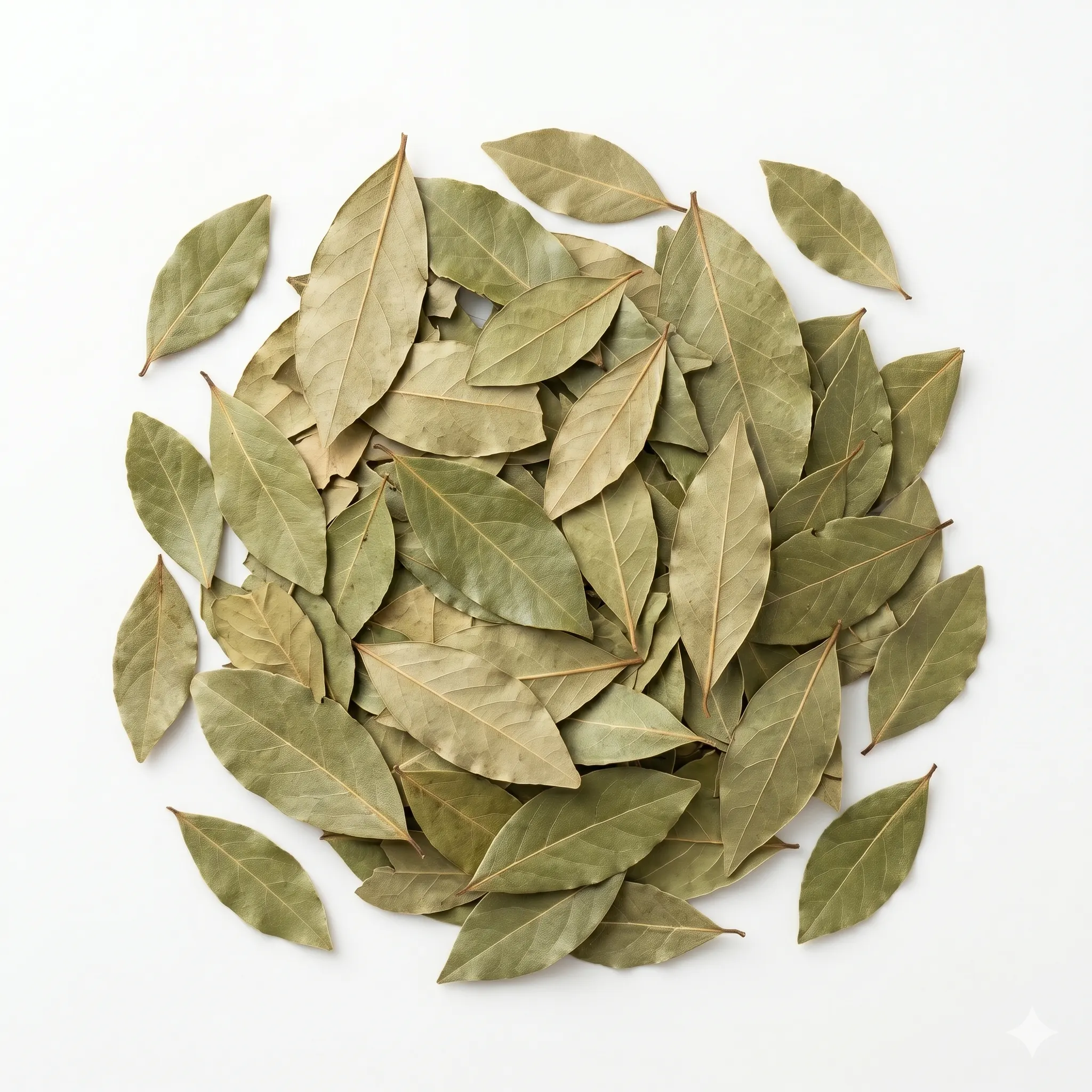 Bay Leaf