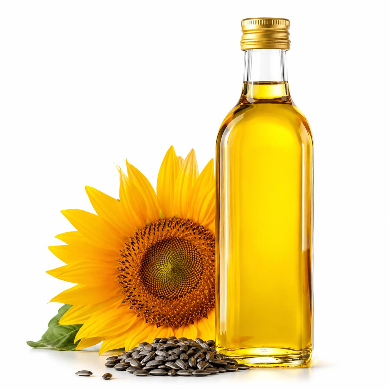 Sunflower Oil