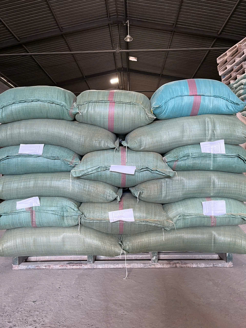 Bột trấu pha dầu đóng bao 50kg - Trường Thịnh