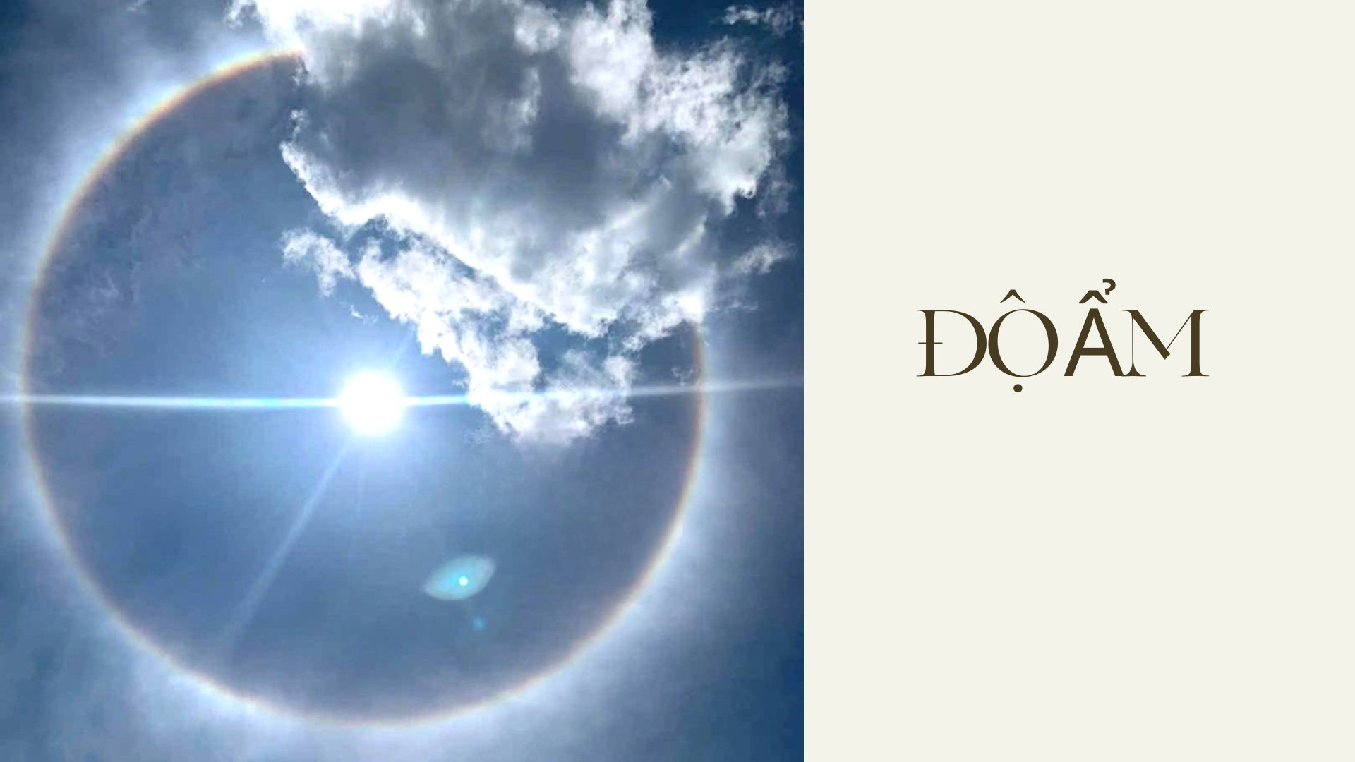 Ảnh hưởng của độ ẩm đến chất lượng nguyên liệu thức ăn chăn nuôi