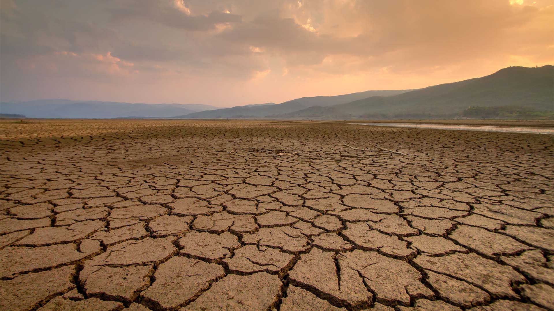 Protecting the climate