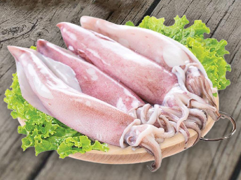 Mực ống size M