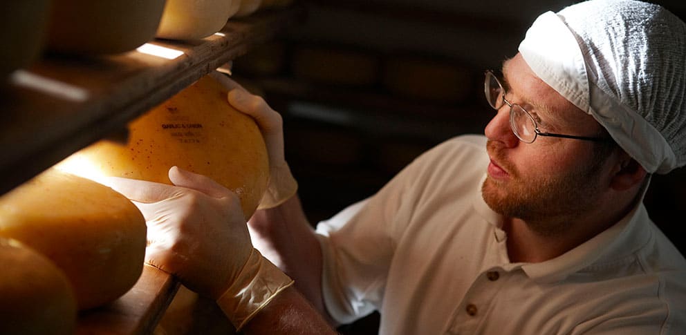 Real Food Hub - More Taste