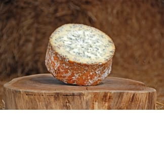 Dorset Blue Vinny Cheese