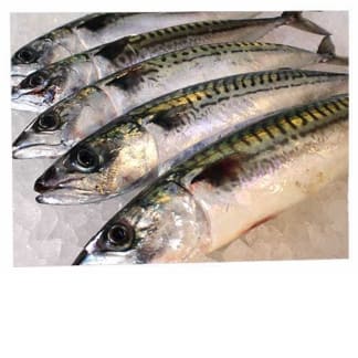Fresh Line Caught Mackerel (1Kg)