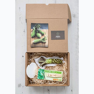 Deluxe FreshWasabi Pack