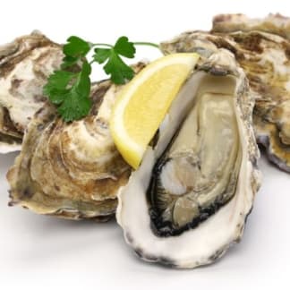 Fresh Oysters