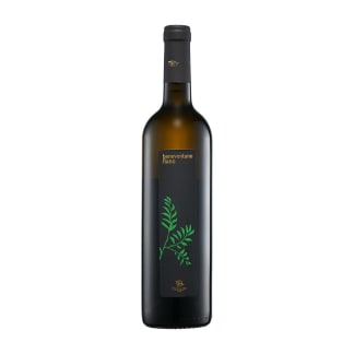 Benevetano Fiano