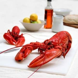 Cooked Native Lobster