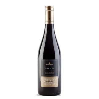 SACHIA PERRICONE