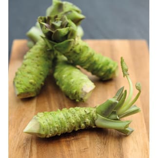 Individual Rhizomes