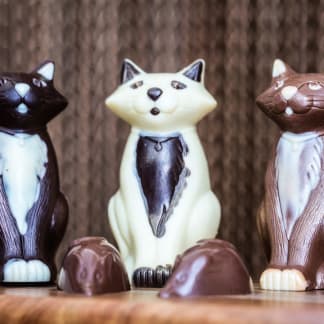 Clever Cat (Mouse Inside!)