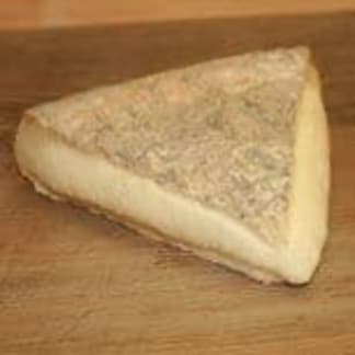 Taleggio