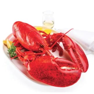 Jumbo Cooked Lobster 2kg - 2.5kg