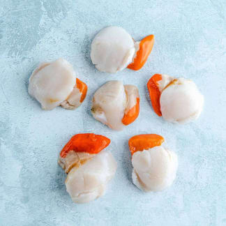 Scottish King Scallops - 6 Scallops