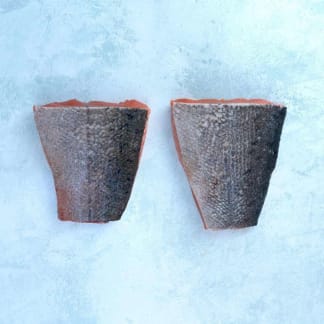 Wild Salmon Fillet Portions