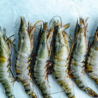 Whole King Prawns Raw