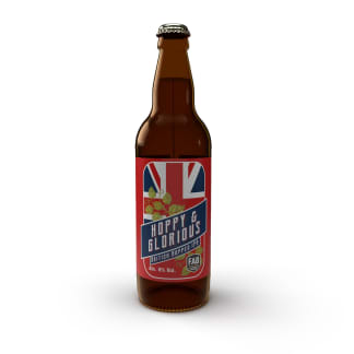 Hoppy & Glorious IPA 12 x 500ml