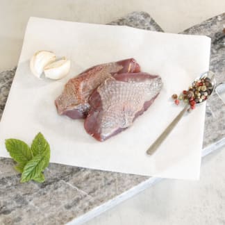 Wild Wood Pigeon Breast (Pair)