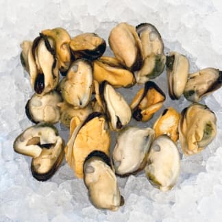 Cooked Mussel Meat