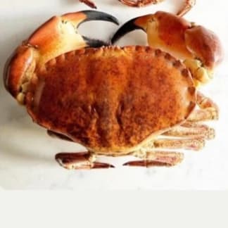 Cooked Crab