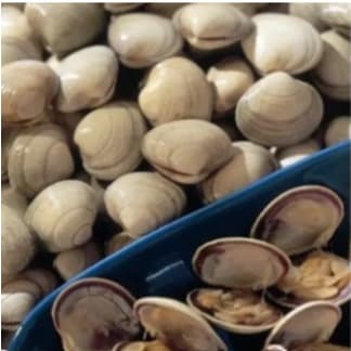 Cooked Whole Shell Clams ( 1kg 