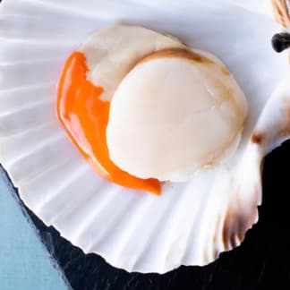 Wild Scottish Premium King Scallops