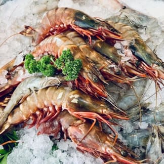 Wild Whole King Prawns