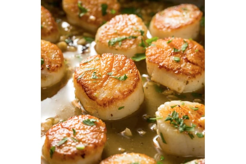 IQF Queen Scallops 